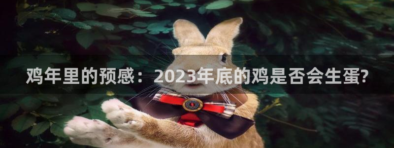 壹号大舞台28国际大舞台：鸡年里的预感：2023年底的鸡是否会生蛋?