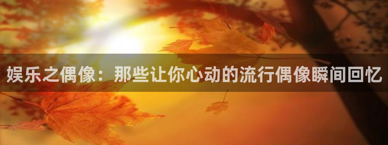 星辉平台官网下载：娱乐之偶像：那些让你心动的流行偶像瞬间回忆