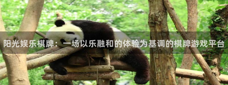星辉平台官网下载：阳光娱乐棋牌：一场以乐融和的体验为基调的棋牌游戏平台