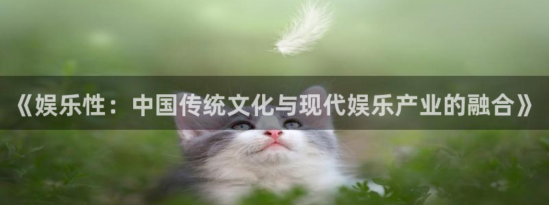 星辉平台免费注册：《娱乐性：中国传统文化与现代娱乐产业的融合》