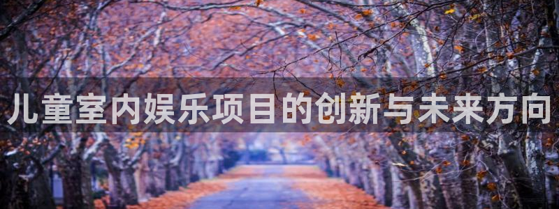 星辉平台app注册地址：儿童室内娱乐项目的创新与未来方向