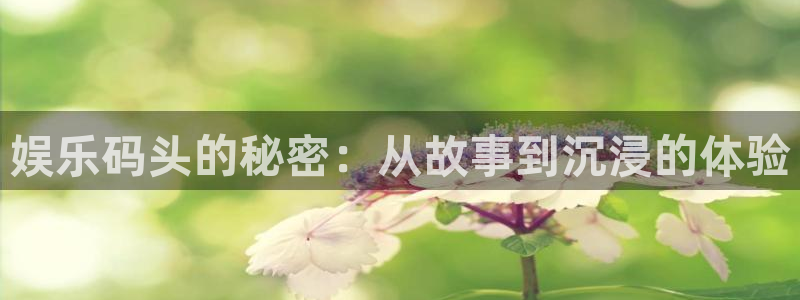 壹号大舞台入口：娱乐码头的秘密：从故事到沉浸的体验