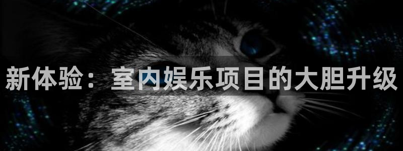 壹号大舞台,有梦你就来：新体验：室内娱乐项目的大胆升级