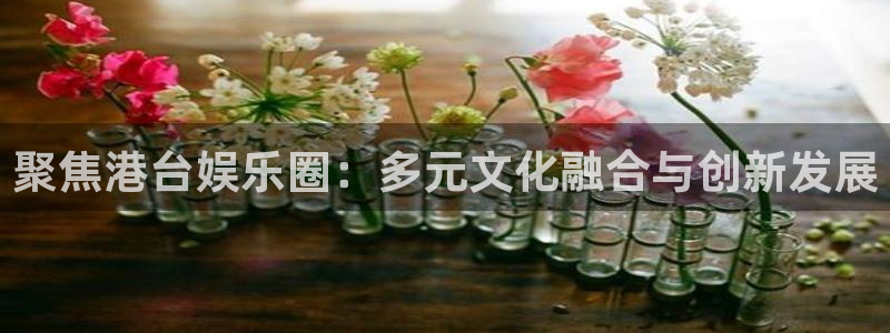 星辉平台下载链接：聚焦港台娱乐圈：多元文化融合与创新发展