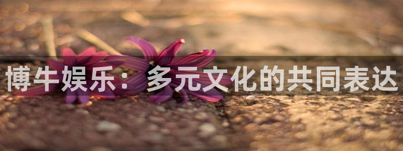 星辉平台免费注册：博牛娱乐：多元文化的共同表达
