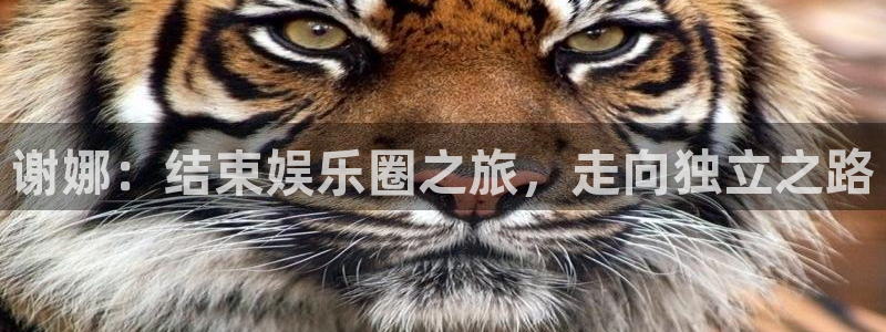 星辉平台登录网：谢娜：结束娱乐圈之旅，走向独立之路