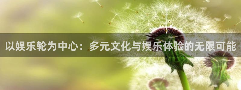星辉平台app官网：以娱乐轮为中心：多元文化与娱乐体验的无限可能