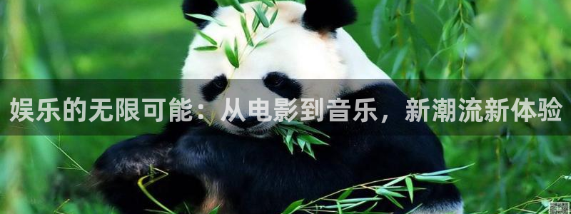 壹号电子娱乐app下载最新版：娱乐的无限可能：从电影到音乐，新潮流新体验