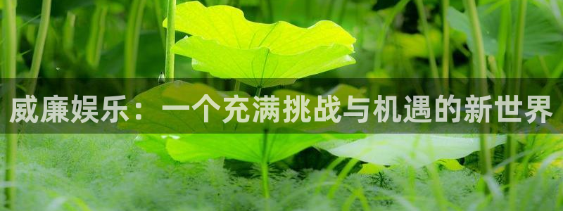 星辉平台软件：威廉娱乐：一个充满挑战与机遇的新世界