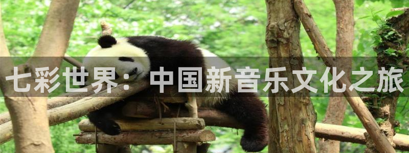 星辉平台app：七彩世界：中国新音乐文化之旅