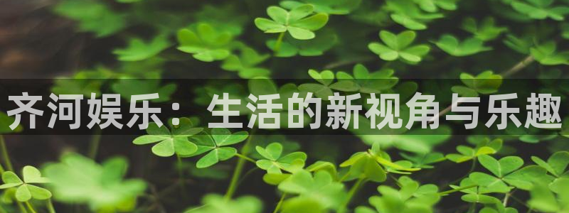 星辉平台com：齐河娱乐：生活的新视角与乐趣
