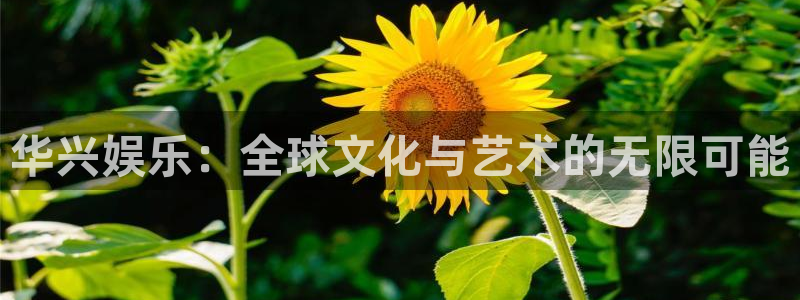 星辉平台注册网站链接：华兴娱乐：全球文化与艺术的无限可能