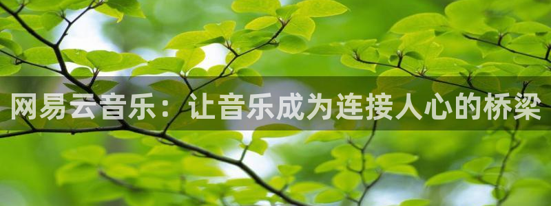 星辉平台加拿大官网：网易云音乐：让音乐成为连接人心的桥梁