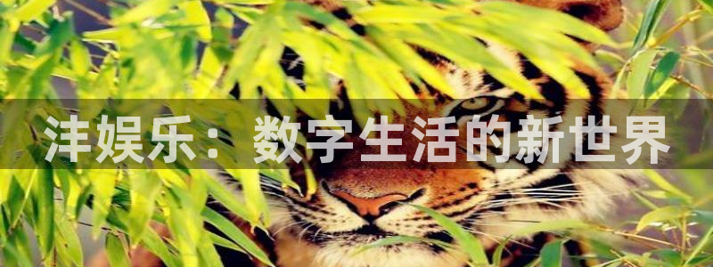 星辉平台电子游戏：沣娱乐：数字生活的新世界
