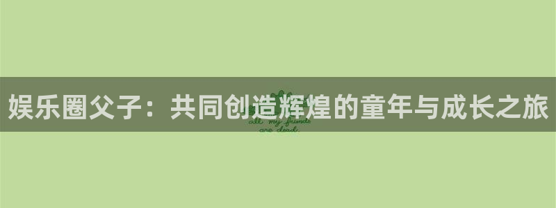 星辉平台app 是什么：娱乐圈父子：共同创造辉煌的童年与成长之旅