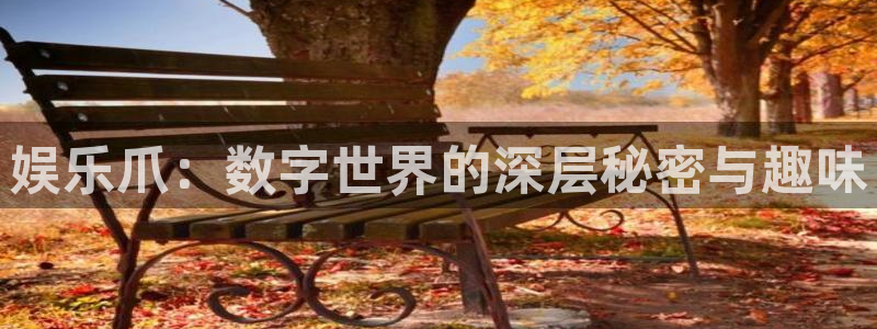 星辉平台ccmpc：娱乐爪：数字世界的深层秘密与趣味